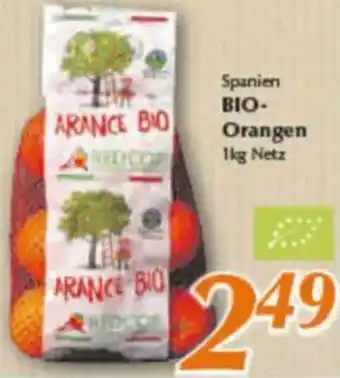 inkoop Spanien BIO-Orangen Angebot