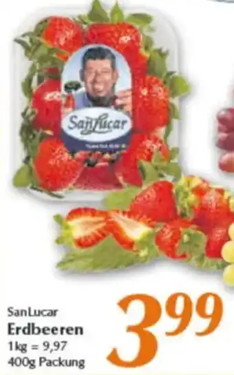 inkoop San Lucar Erdbeeren Angebot