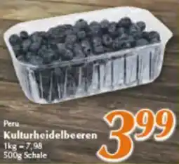 inkoop Peru Kulturheidelbeeren Angebot