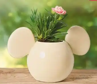 NETTO Disney Home Blumentopf 3D Micky Maus Angebot