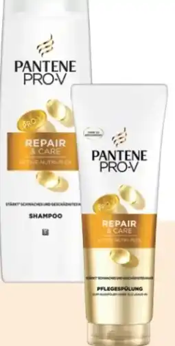 Rossmann Pantene Pro-V Repair & Care Shampoo Angebot