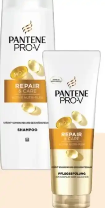 Rossmann Pantene Pro-V Repair & Care Shampoo Angebot