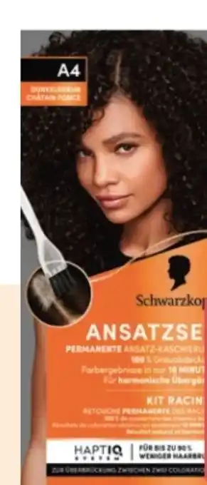 Rossmann Schwarzkopf Ansatzset Angebot