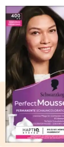 Rossmann Schwarzkopf Perfect Mousse Schaum Coloration Angebot