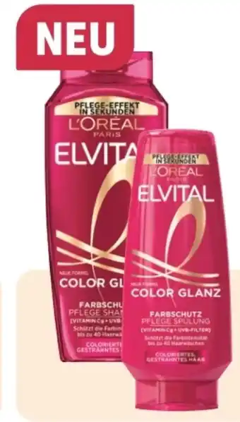 Rossmann L'Oréal Paris Elvital Shampoo Color-Glanz Angebot