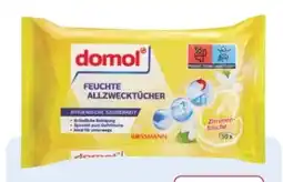 Rossmann Domol Feuchte Allzwecktücher Angebot