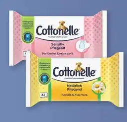 Rossmann Cottonelle Feuchtes Toilettenpapier Angebot