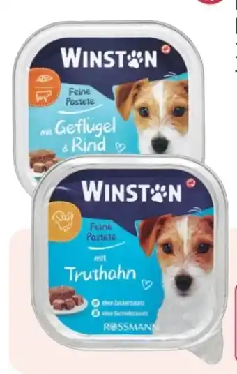 Rossmann Winston Feine Pastete Angebot