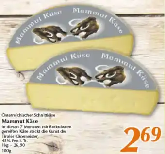 inkoop Mammut Käse Angebot