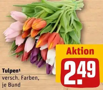 REWE Tulpen Angebot