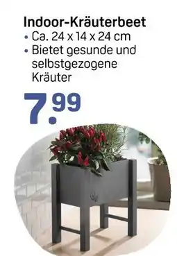 Rossmann Indoor-kräuterbeet Angebot