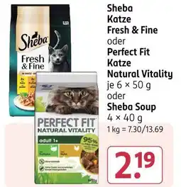 Rossmann Sheba katze fresh & fine oder perfect fit katze natural vitality oder sheba soup Angebot