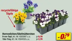 toom Baumarkt Hornveilchen oder stiefmütterchen Angebot