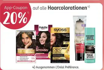 Rossmann L'oreal excellence creme Angebot