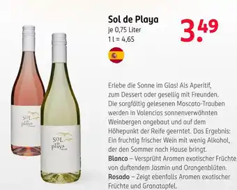 Rossmann Sol de playa wein Angebot