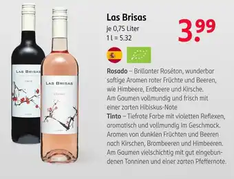 Rossmann Las brisas rosado oder tinto Angebot