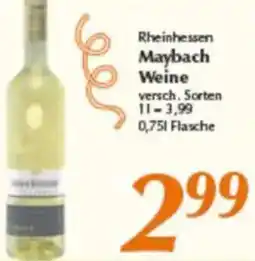 inkoop Rheinhessen Maybach Weine Angebot