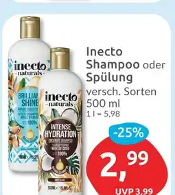 Budni Inecto naturals shampoo oder spülung Angebot