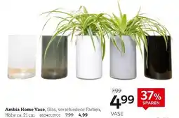 XXXLutz Ambia home vase Angebot