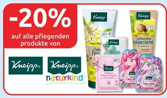 Budni Kneipp -20% Angebot