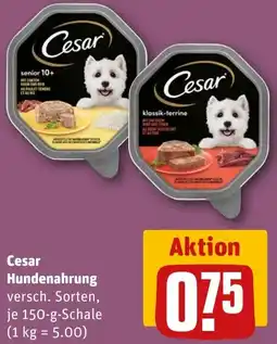 REWE Cesar Hundenahrung Angebot