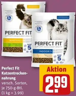 REWE Perfect Fit Katzentrockennahrung Angebot