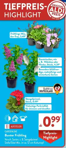 Aldi Süd GARDENLINE Bunter Frühling Angebot