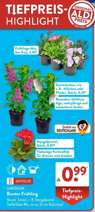 Aldi Süd GARDENLINE Bunter Frühling Angebot