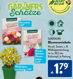 Aldi Süd GARDENLINE Blumenzwiebeln Angebot