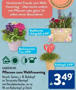 Aldi Süd GARDENLINE Pflanzen zum Weltfrauentag Angebot