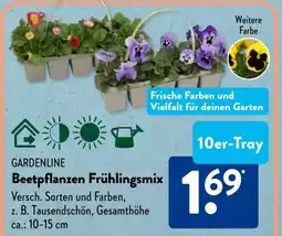 Aldi Süd GARDENLINE Beetpflanzen Frühlingsmix Angebot