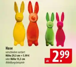 Famila Nord Ost Hase Angebot