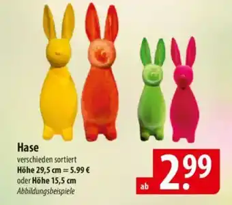 Famila Nord Ost Hase Angebot