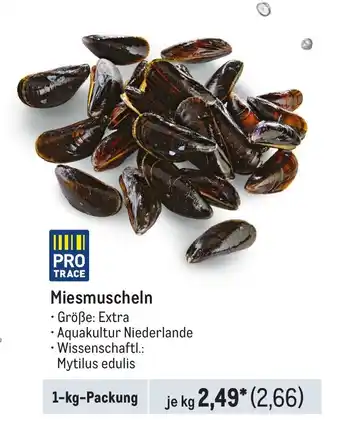 METRO Miesmuscheln Angebot