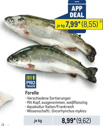 METRO Forelle Angebot