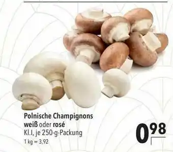 CITTI Markt Polnischer Champignons Weiß Oder Rosé Angebot