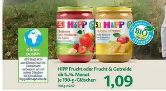 CITTI Markt Hipp Frucht Oder Frucht & Getreide Angebot