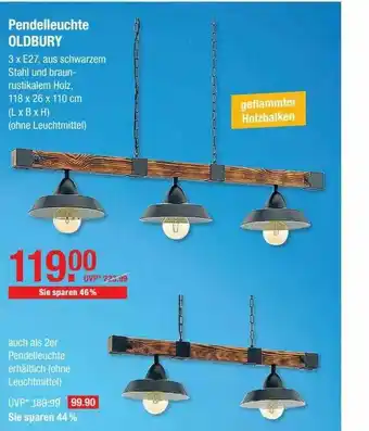 V Baumarkt Pendelleuchte Oldbury Angebot