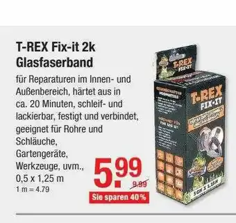 V Baumarkt T-rex Fix-it 2k Glasfaserband Angebot