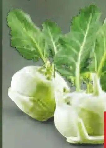 Netto Marken-Discount Kohlrabi Angebot