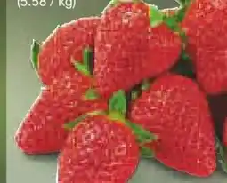 Netto Marken-Discount Erdbeeren Angebot