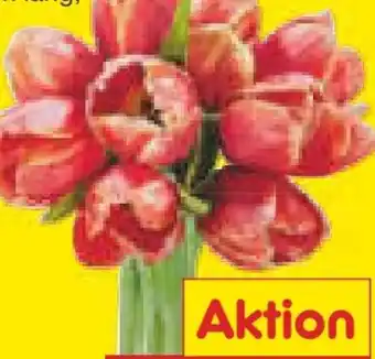 Netto Marken-Discount Tulpen-Strauß Angebot