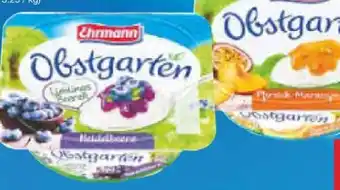 Netto Marken-Discount Ehrmann Obstgarten Angebot