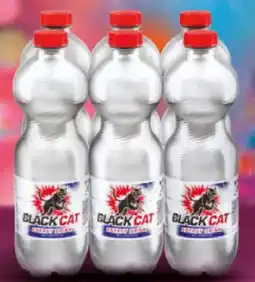 Netto Marken-Discount Black Cat Energy Drink Angebot