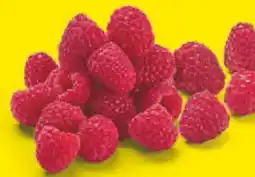 Netto Marken-Discount Driscoll's Himbeeren Angebot