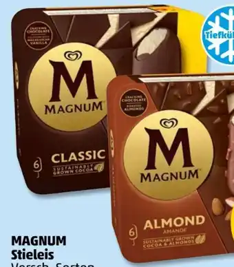 PENNY Langnese Magnum Stieleis Angebot