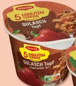 PENNY Maggi 5 Minuten Terrine Gulaschtopf Angebot