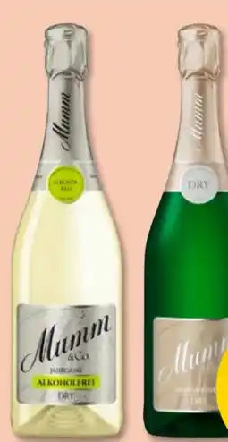 PENNY Mumm & Co. Jahrgangssekt Angebot