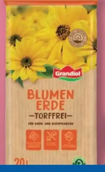 Lidl Grandiol Torffreie Blumenerde Angebot