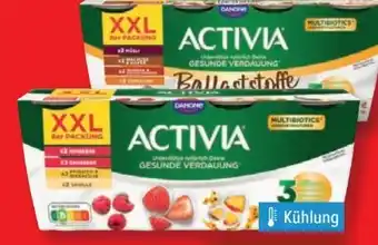 Lidl Danone Activia XXL Angebot